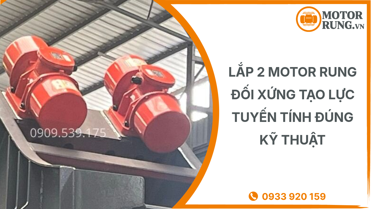 Lắp 2 Motor Rung Đối Xứng Tạo Lực Tuyến Tính Đúng Kỹ Thuật